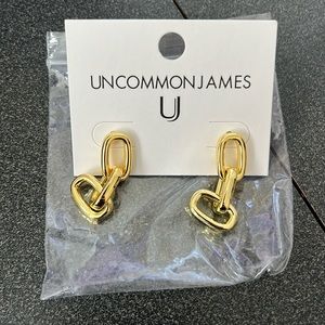 Uncommon James Chain Link earrings
